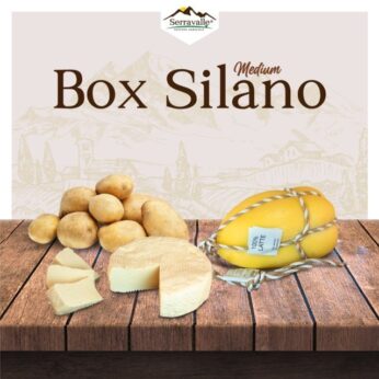 Box Silano – Medium